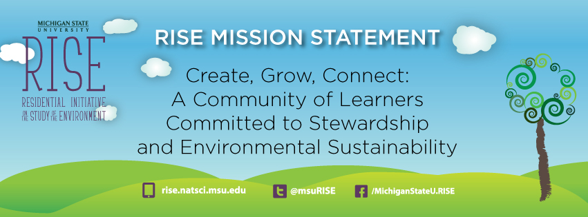 RISE mission statement graphic