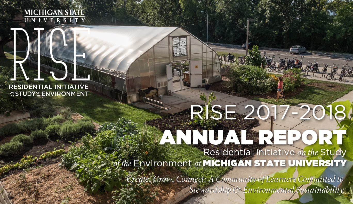 RISE Annual Report 2017-2018